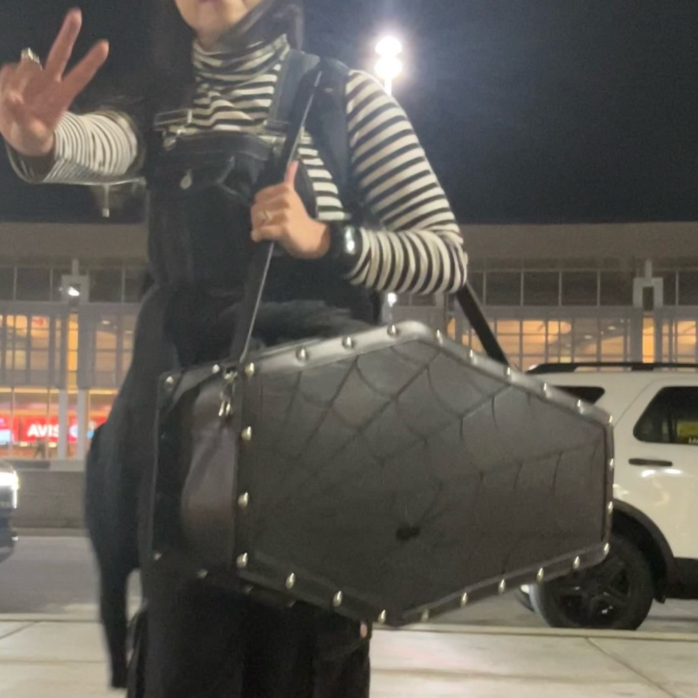 Coffin Bag from Dolls Kill Weekender Goth Cross Spider Web Carry On